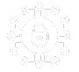 Firewall Assessment