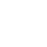 Professional Services